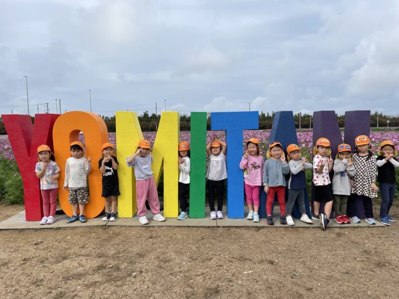 こすもす畑【わかたけ】の写真