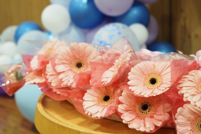 卒園式【わかたけ】の写真