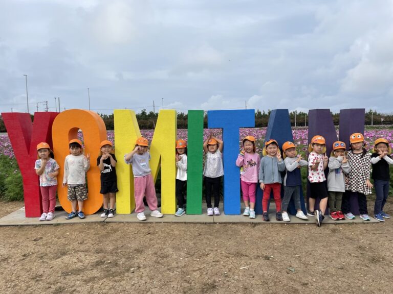 こすもす畑【わかたけ】の写真